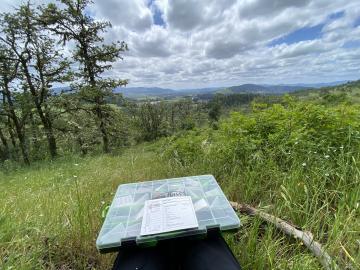 A tackle box on a grassy mountain