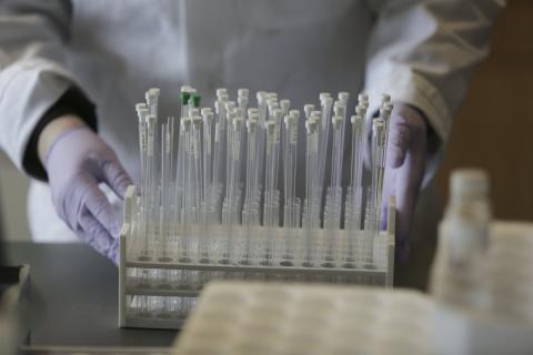 Close up view of two gloved hands holding a tray of test tubes and pipette tips.