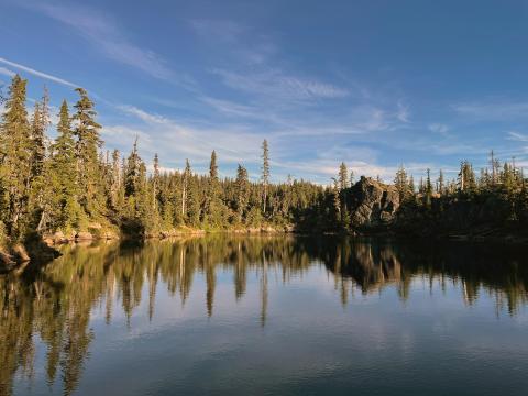 View looking across forest lake with a dense grove of green fir trees lining the shore. The surface of the lake reflects the trees and the blue sky.
