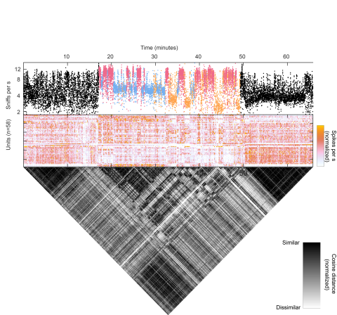 A combined scatterplot scale and matrix depict the brain activity of a mouse sniffing around its environment.