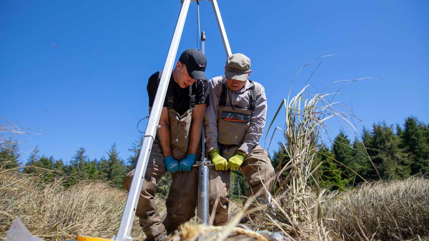 Two researchers in the field operate equipment in the South Slough near Coos Bay, Oregon.
