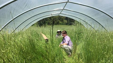 Two women squat in tall grass underneath hoop greenhouse